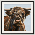 Little Highland Cow