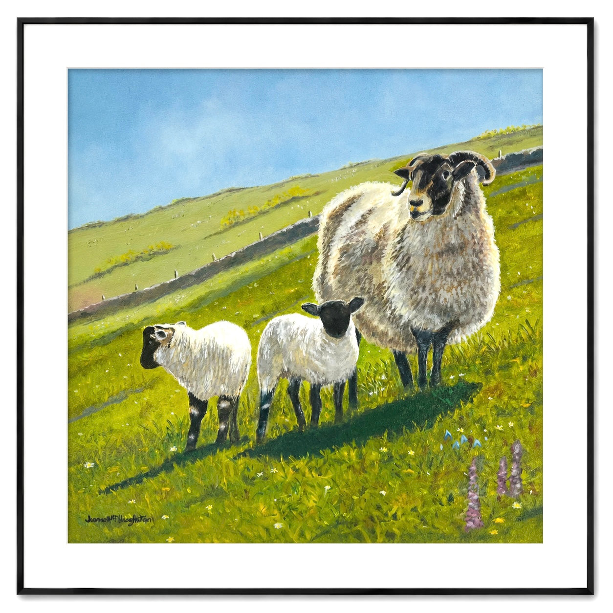 Sheep on Torr Hillside