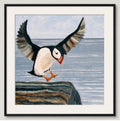 Little Puffin