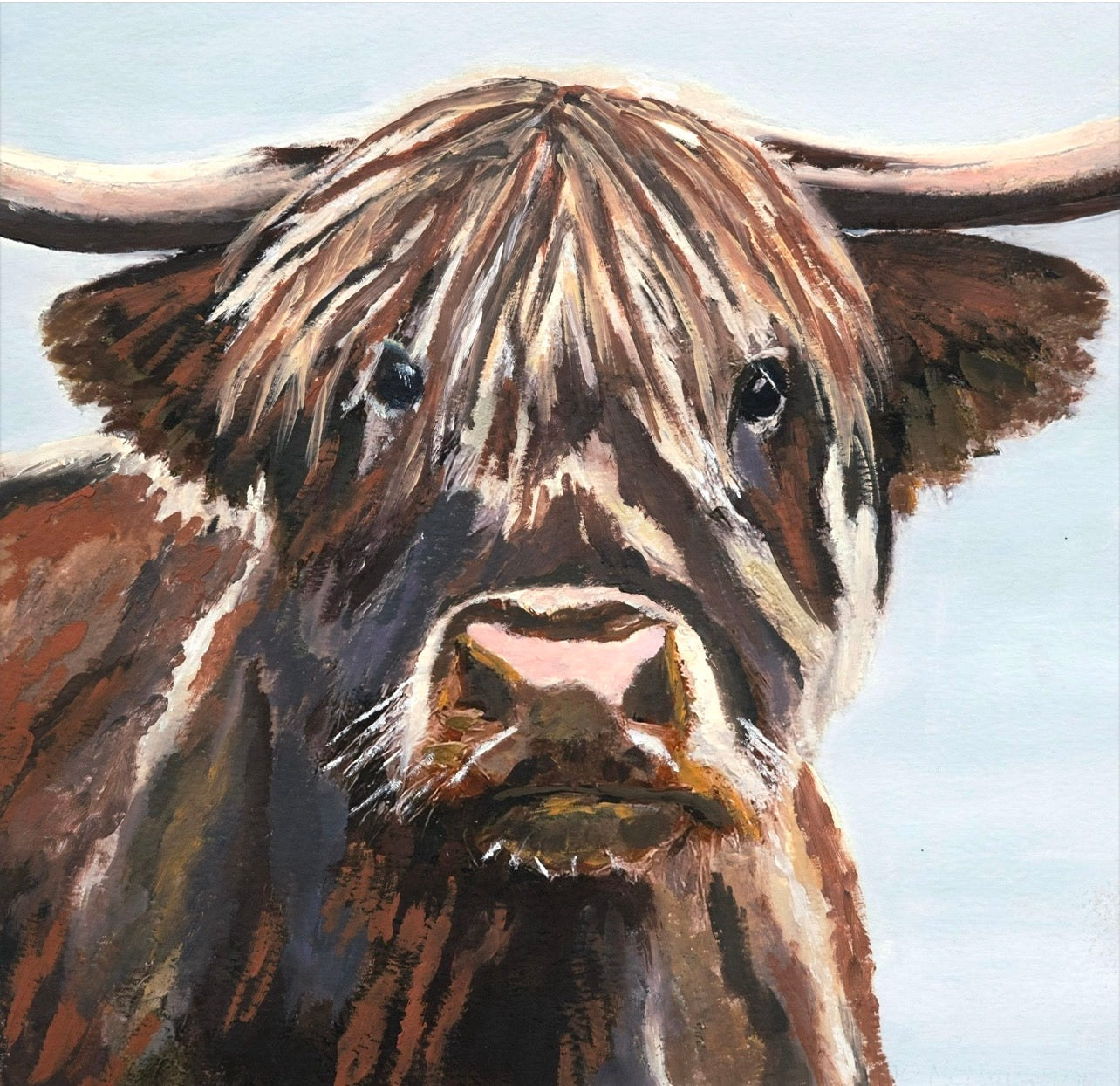 Little Highland Cow